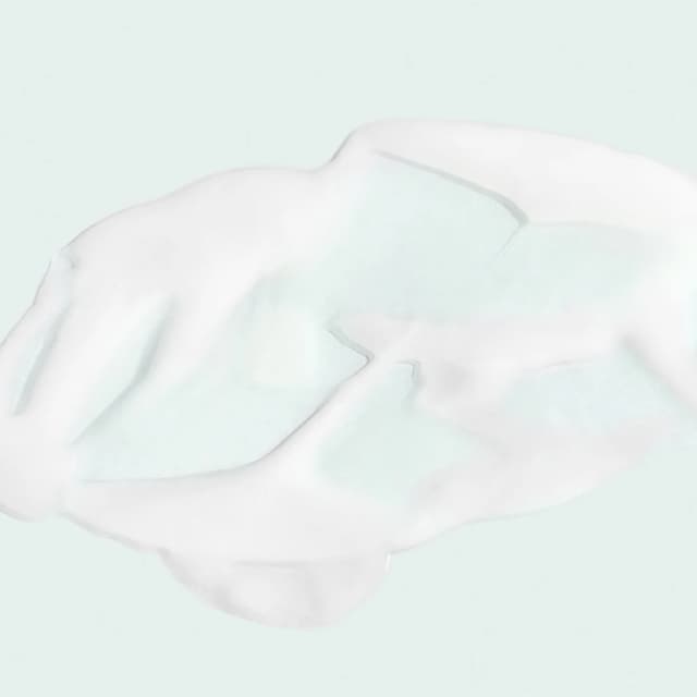 819984010116 Texture Photo 1