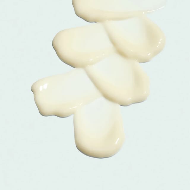 819984017719 Texture Photo 1