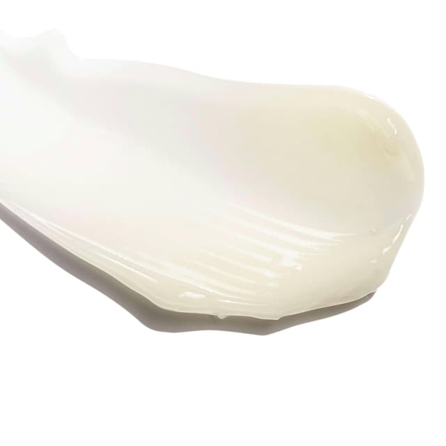 732013301484 Texture Photo 1