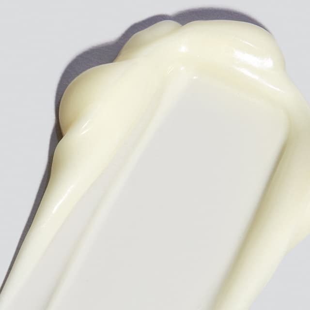 666151060883 Texture Photo 1