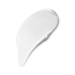 3337875806961 Texture Photo 1